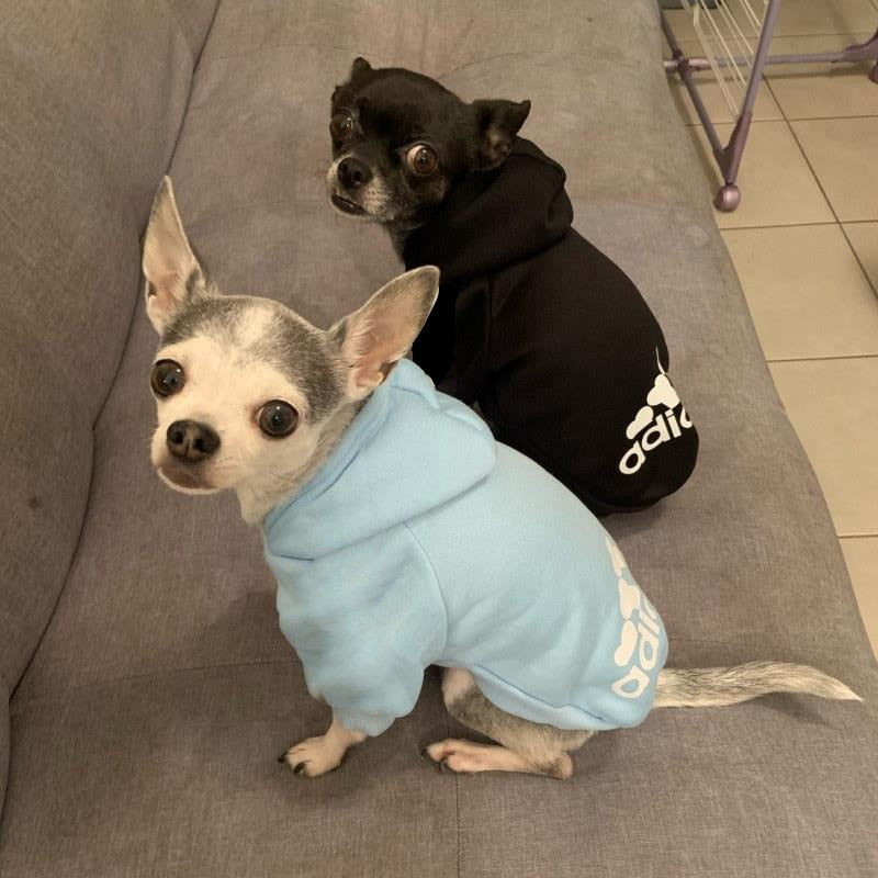 Roupa moletom Premium para cães ADIDOG